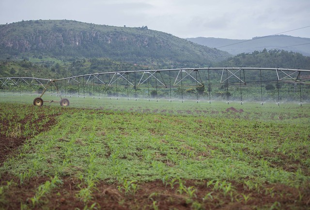 Nasho Solar-powered irrigation